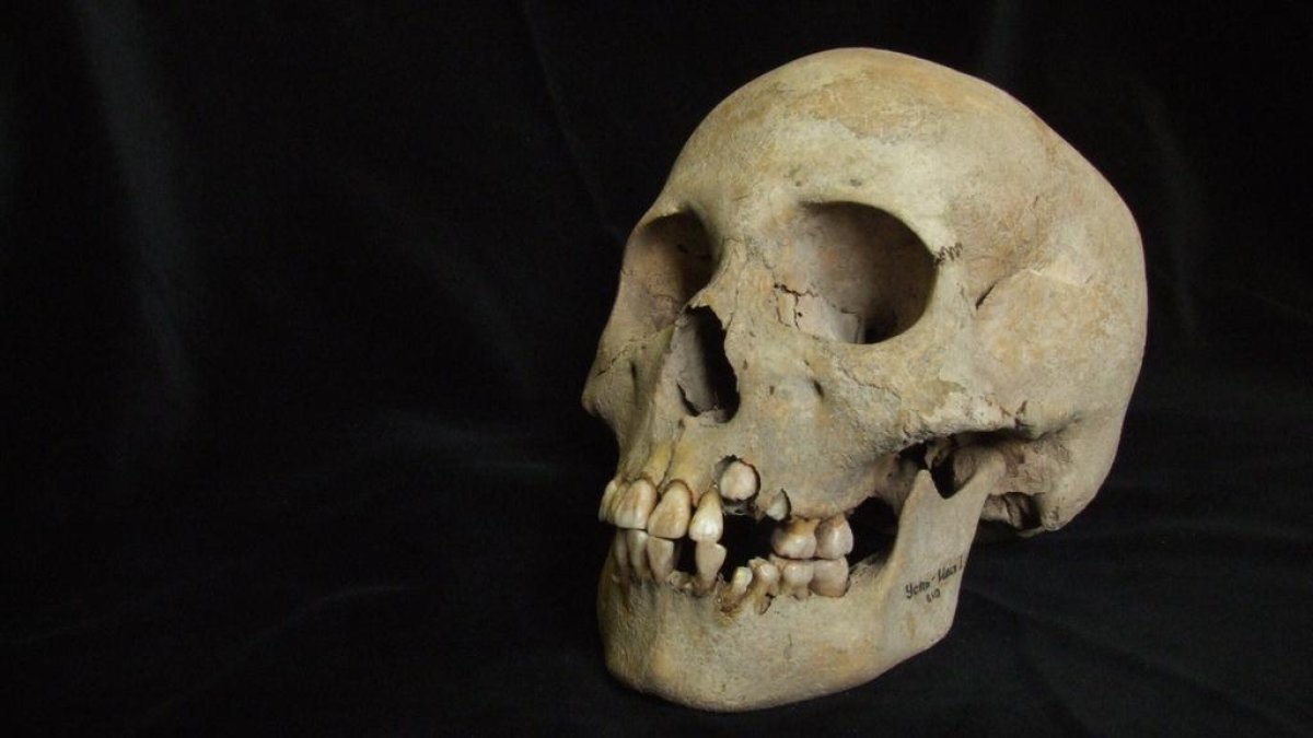 descubren-evidencia-de-peste-de-hace-5,500-anos,-200-anos-antes-de-lo-que-se-creia