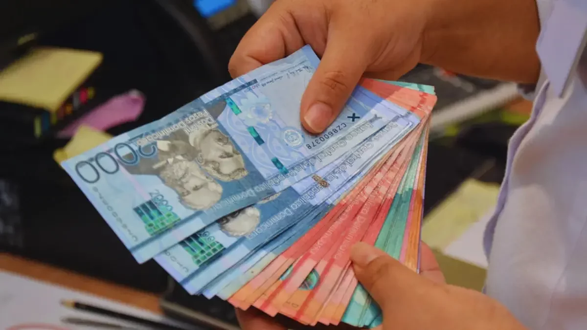 plan-del-gobierno-sacara-rd$50,000-millones-de-la-economia-en-plena-desaceleracion,-advierte-fp