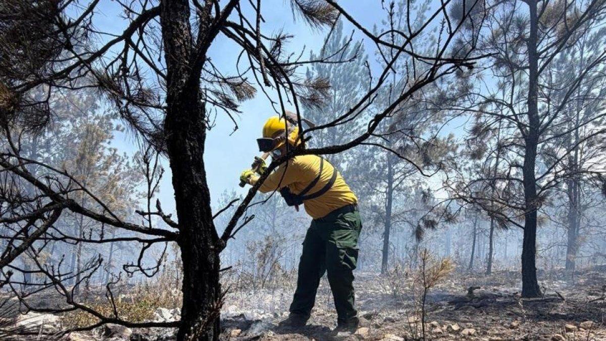 controlan-en-un-70%-fuego-en-el-parque-nacional-sierra-de-bahoruco