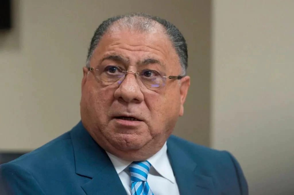 monchy-fadul-afirma-consulta-interna-del-pld-no-sustituye-mecanismos-legales