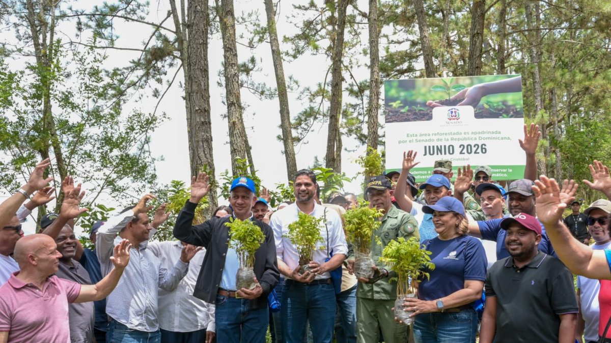 senado-realiza-jornada-de-reforestacion-en-cuenca-del-rio-nizao