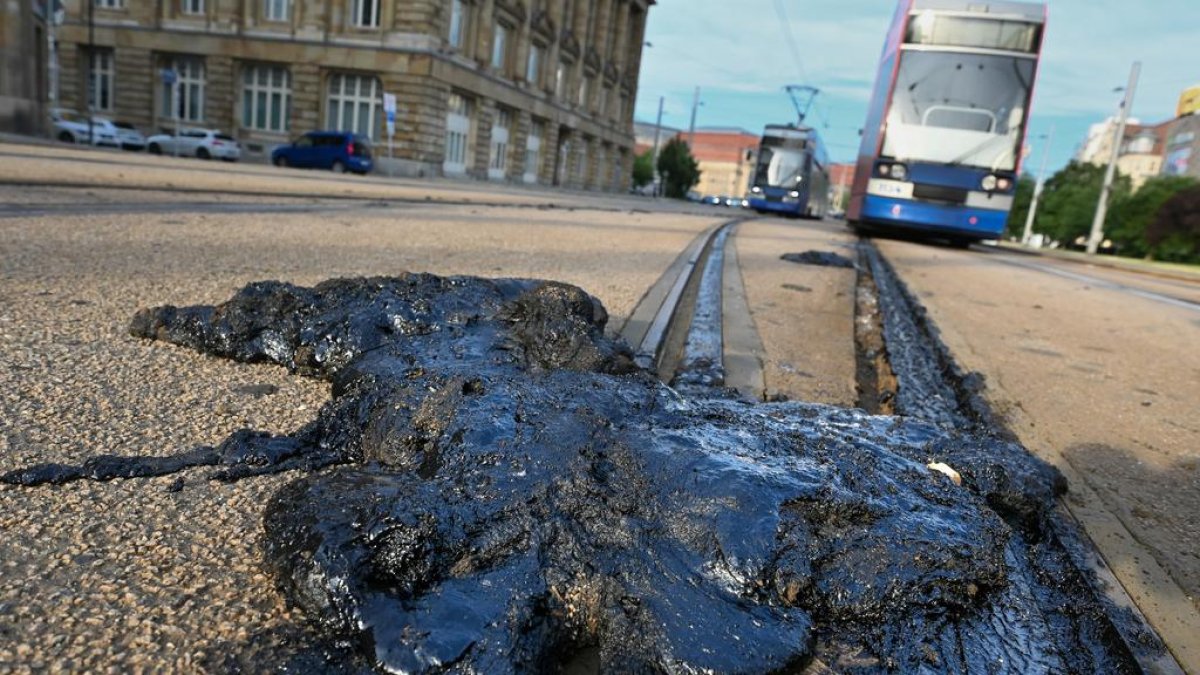 26-personas-han-muerto-o-desaparecido-en-alemania-debido-a-olas-de-calor-extremo