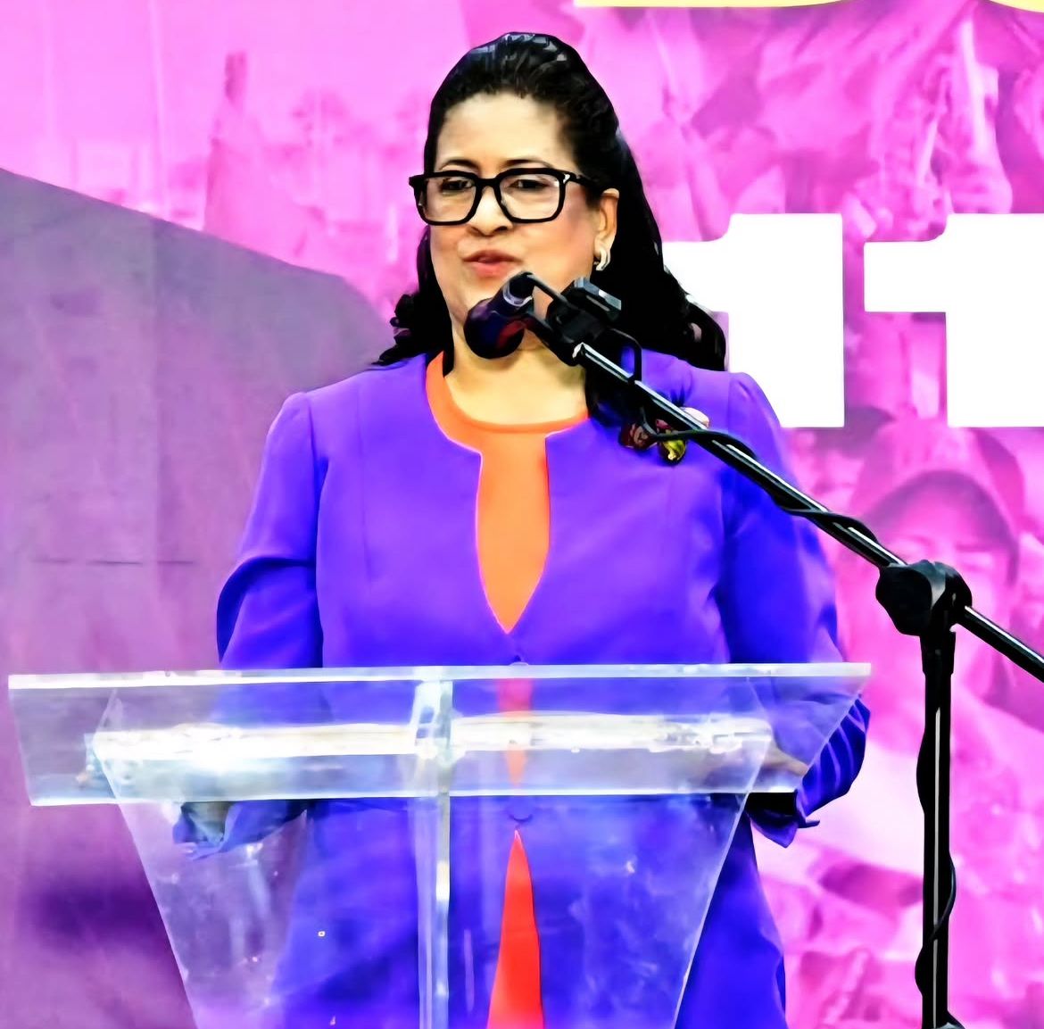 pld-conformara-este-fin-de-semana-las-comisiones-de-consulta-en-provincias-y-municipios