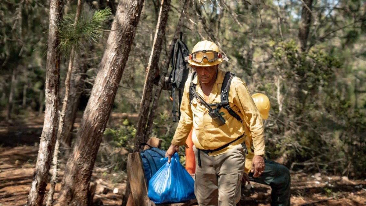incendio-forestal-bajo-control-en-sierra-de-bahoruco