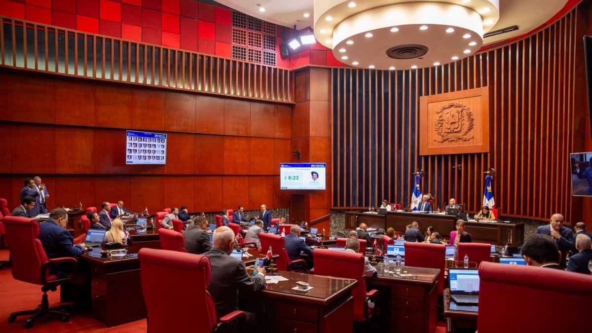 aprueban-reforma-policial-en-el-senado-tras-maratonica-sesion-de-mas-de-cinco-horas