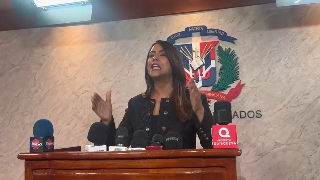 selinee-mendez-alerta-propuesta-del-codigo-penal-reduciria-el-tiempo-para-perseguir-violaciones-sexuales
