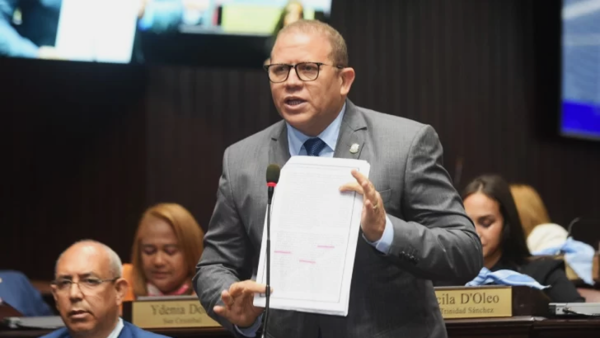 fuerza-del-pueblo-anuncia-no-votara-por-mofidicaciones-al-codigo-penal;-cuestiona-prisa-por-aprobar