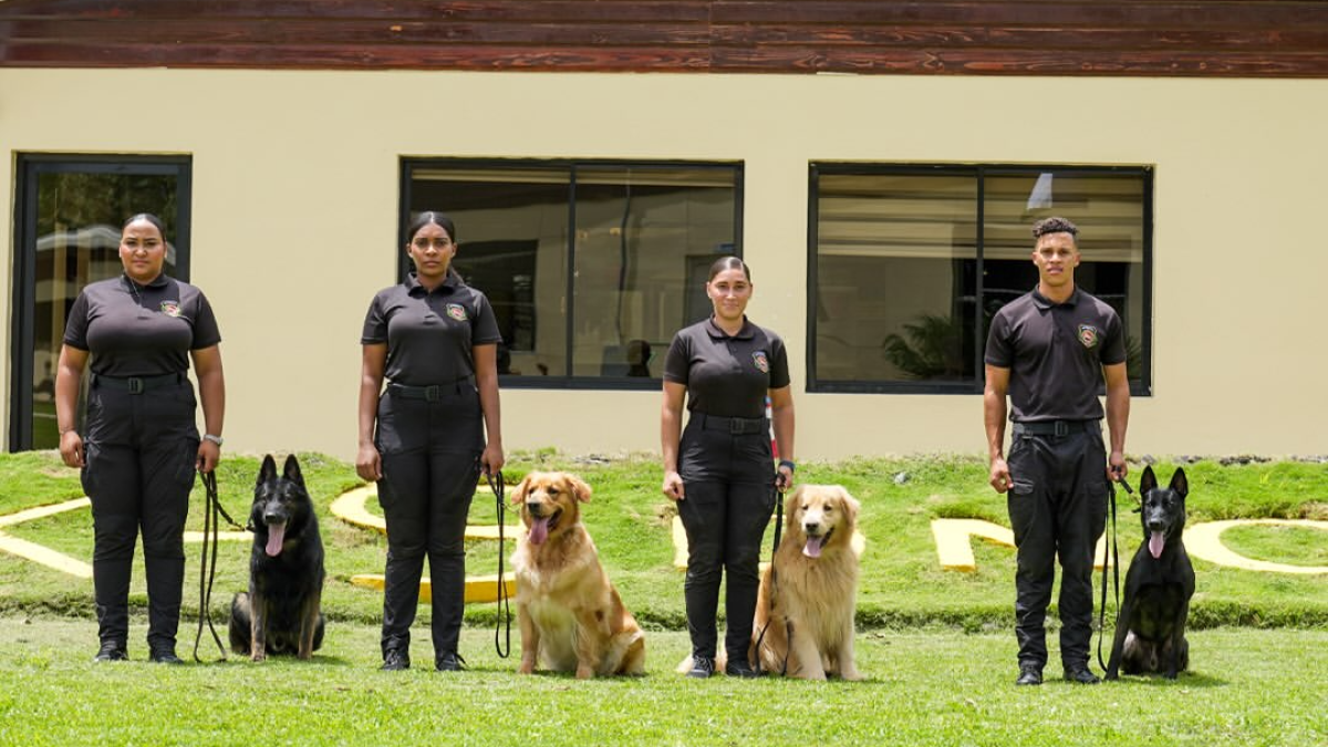 spay,-jack,-manta-y-punk:-los-heroes-caninos-de-la-dncd-que-luchan-contra-el-narcotrafico