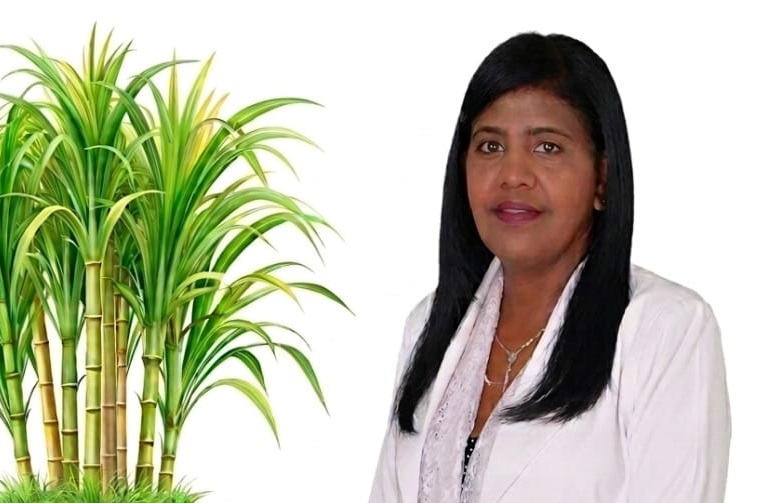 exregidora-de-la-fp,-nury-mejia-aybar-y-su-equipo-politico-anuncian-oficialmente-su-paso-al-prm