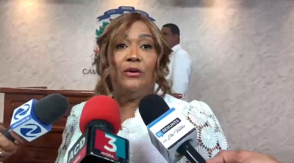 presidenta-del-bloque-de-diputados-del-pld-dice-peor-sombra-del-gobierno-es-el-endeudamiento-externo