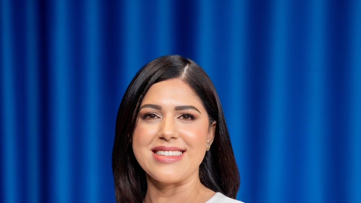 senadores-del-prm-eligen-a-maria-mercedes-ortiz-como-vocera