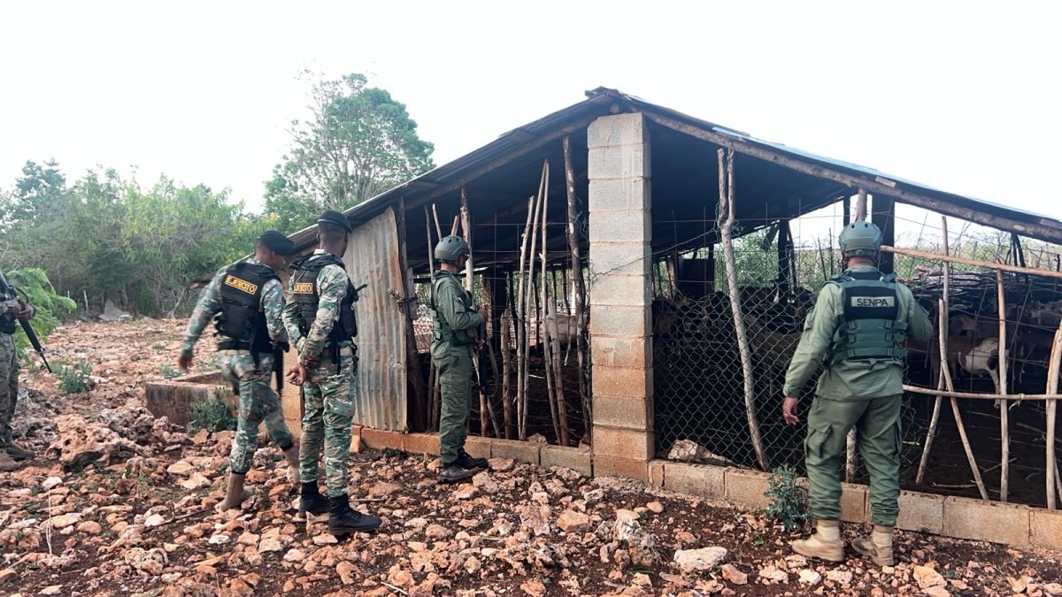 controlan-incendios-y-tala-ilegal-en-la-sierra-de-bahoruco-tras-reforzar-vigilancia