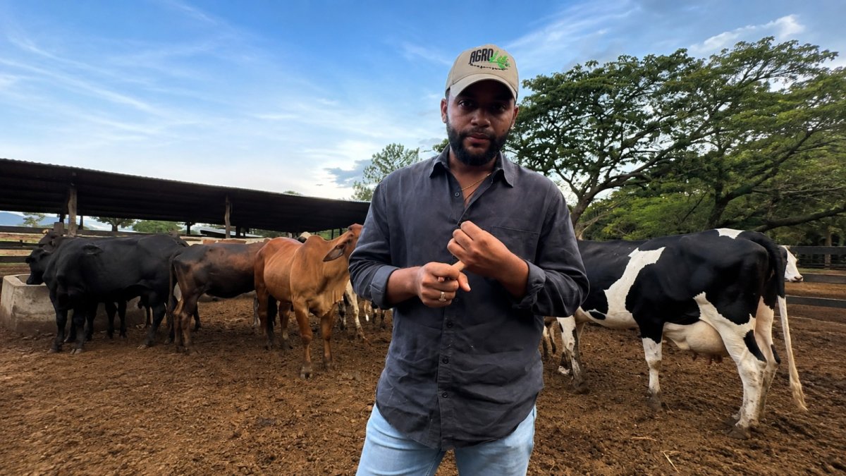 tres-de-cada-cuatro-kilos-de-cerdo-consumidos-en-el-pais-son-importados,-denuncia-productor