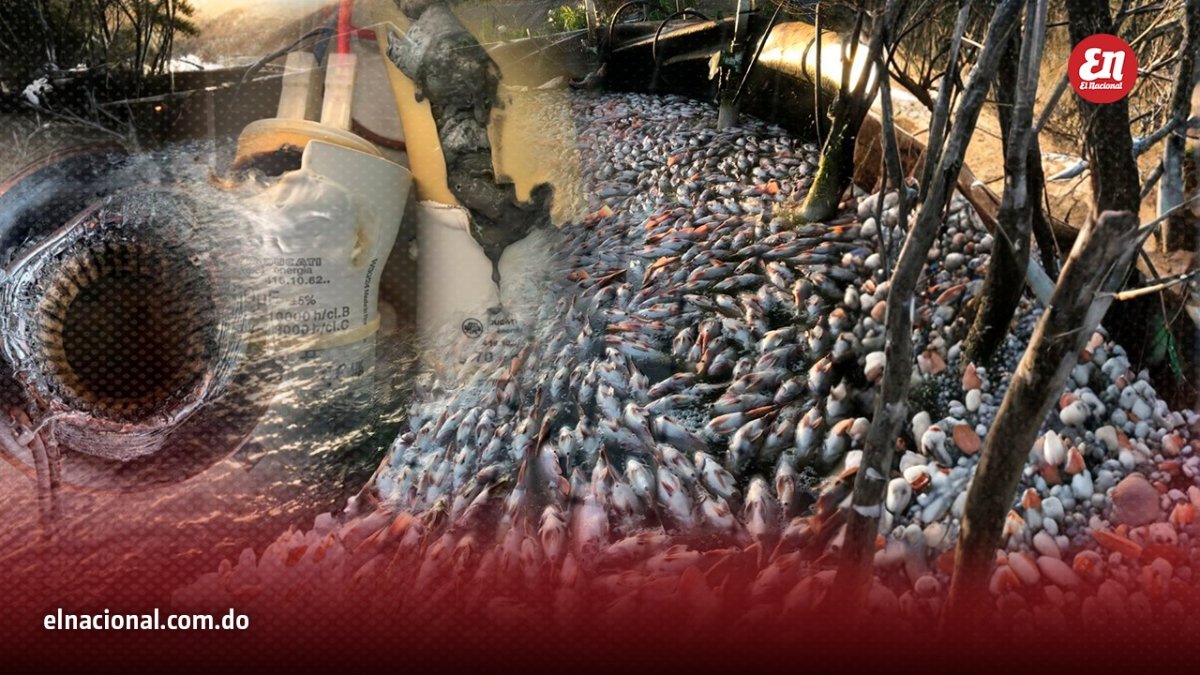 «tuve-que-hipotecar-la-casa»:-alto-voltaje-destruye-granja-de-peces-y-amenaza-con-quebrar-a-productor