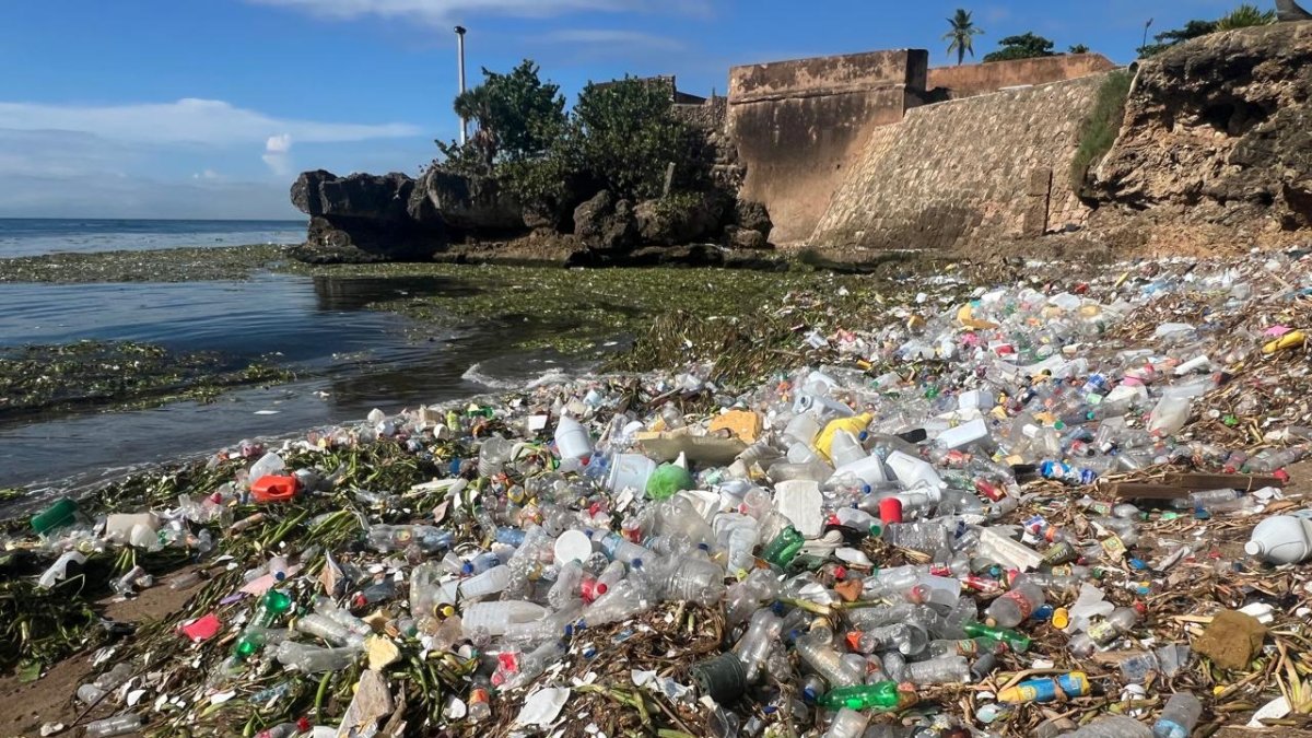 La trampa natural que atrapa la basura que arrastra el río Ozama hacia el mar Caribe